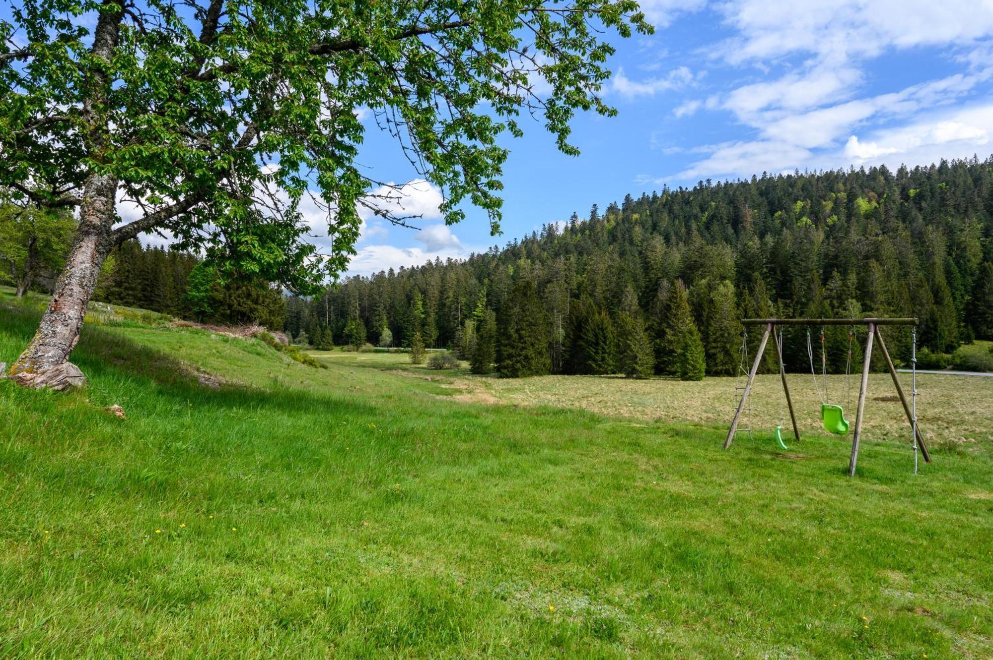 Gite La Ramee Ban-sur-Meurthe-Clefcy المظهر الخارجي الصورة